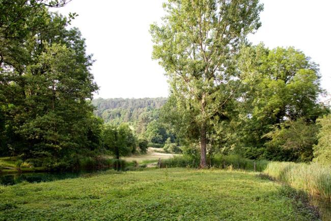 Thonnance-les-Moulins Gites La Forge De Sainte Marie מראה חיצוני תמונה